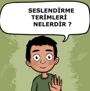 Seslendirme Terimleri hangileridir